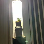 Tosalet