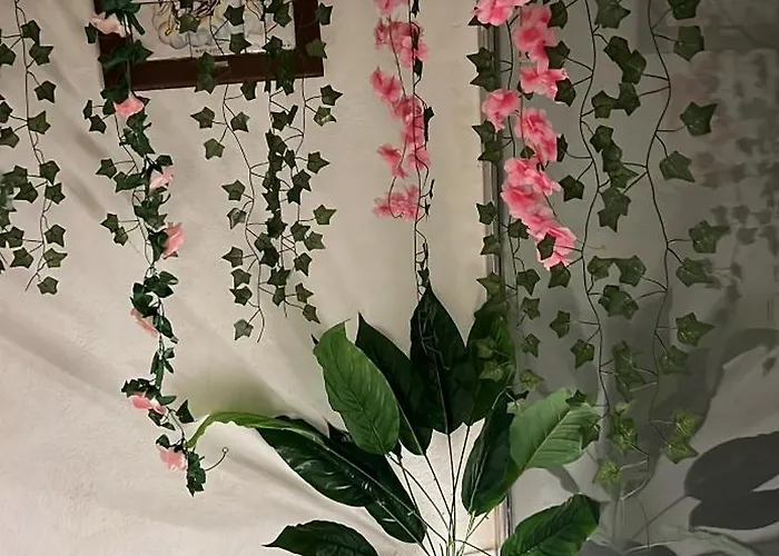 Apartamento Tosalet *